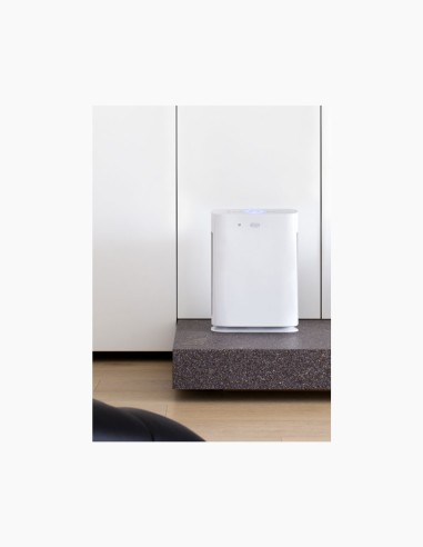Luftreiniger Argo Pury Plus UVC. Luftfilter. Luftreiniger und Befeuchter. Conservatis
