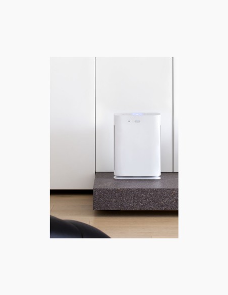 Luftreiniger Argo Pury Plus UVC. Luftfilter. Luftreiniger und Befeuchter. Conservatis