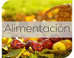 Alimentaci&oacute;n