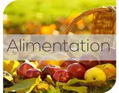 Alimentation