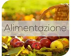 Alimentazione