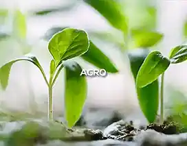 Agro
