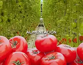 Alimentacion