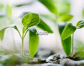 Agro